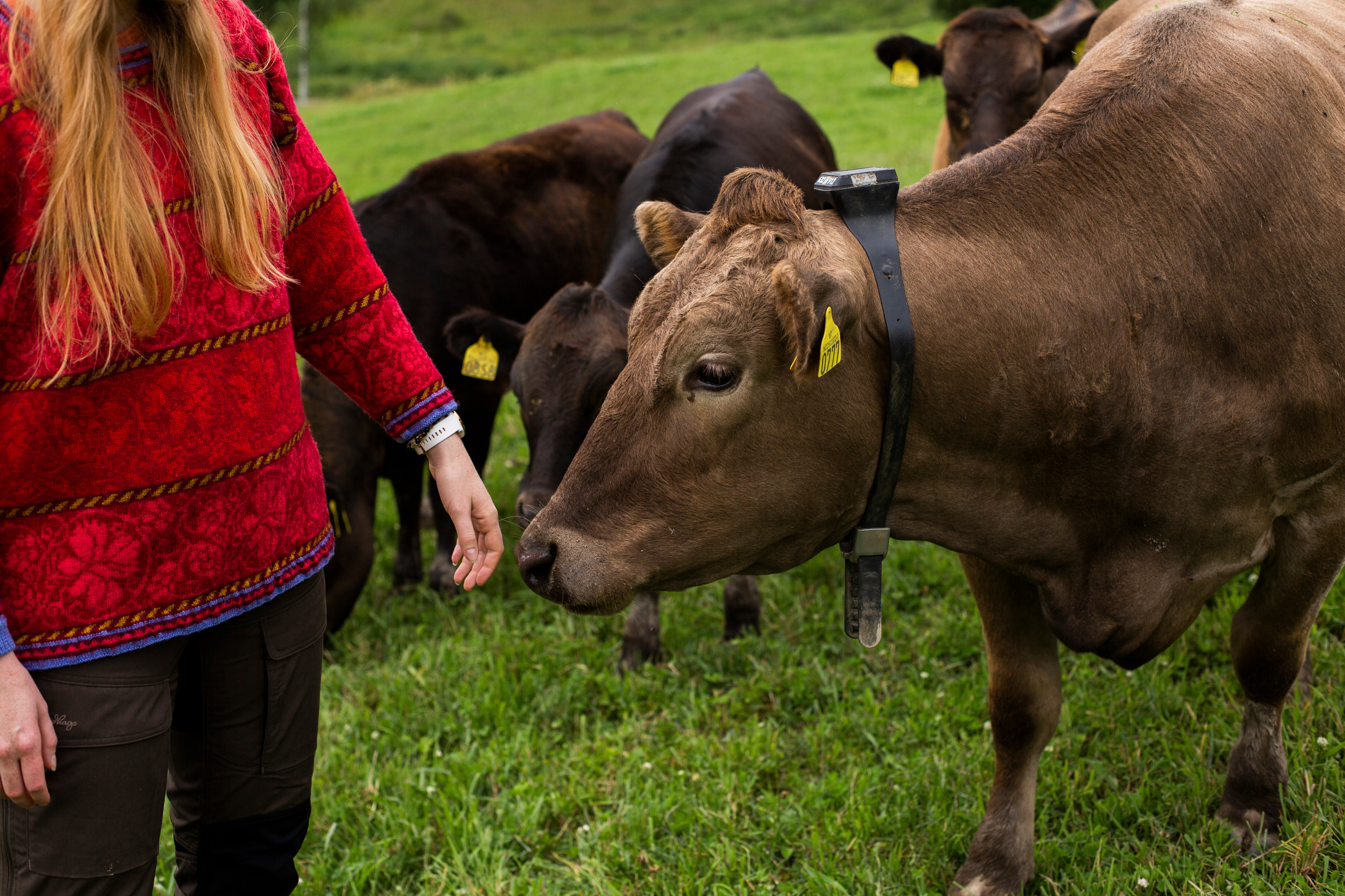 Monil klaven gir både bonden og dyrene superkrefter