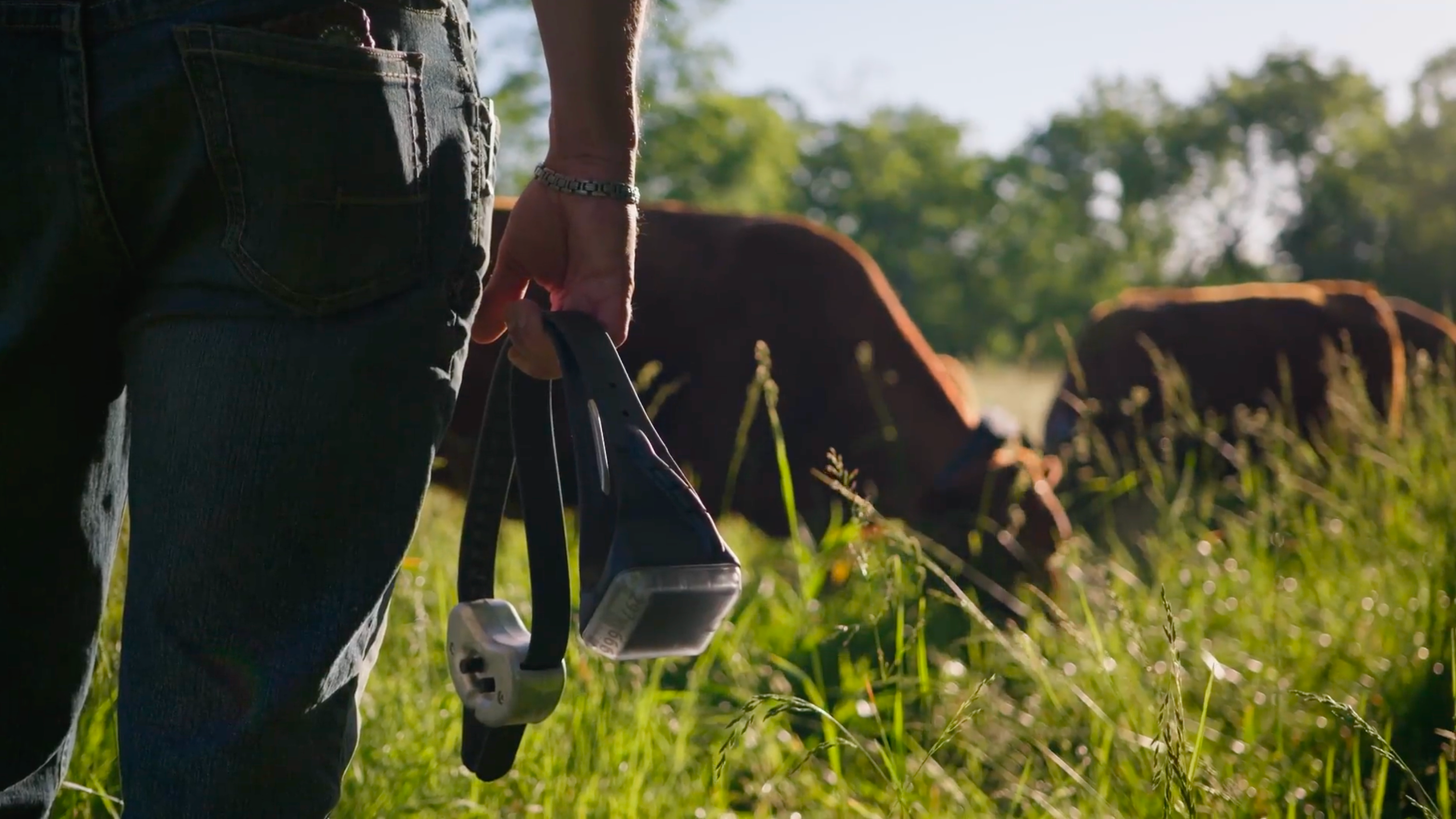 Weighing just 2.2 pounds, the compact, ergonomic collar is the lightest on the market, designed to fit comfortably on the animal while remaining rugged enough for years of use and backed by a five-year warranty.