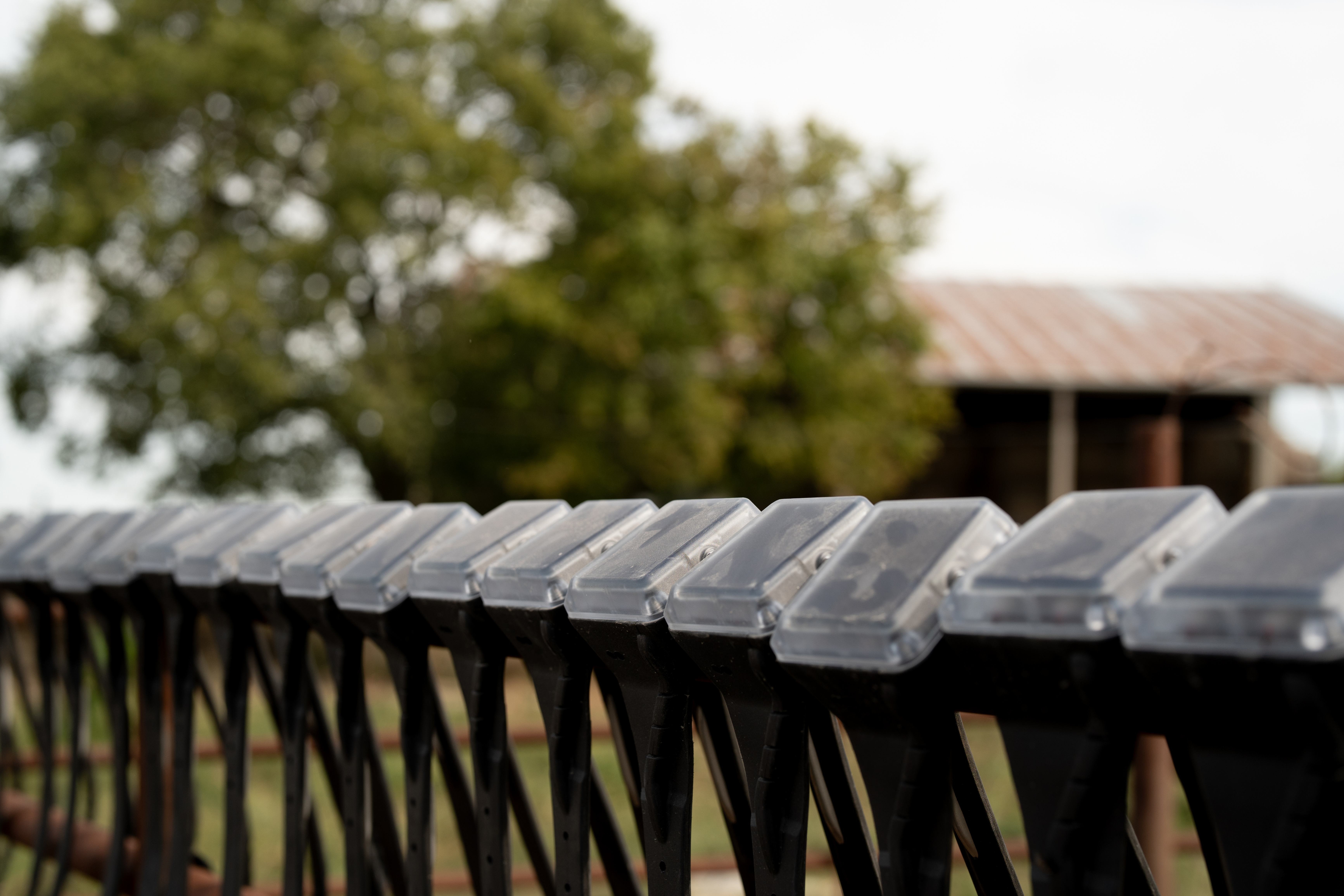 We’re extending the warranty on Monil cattle collars to 10 years 