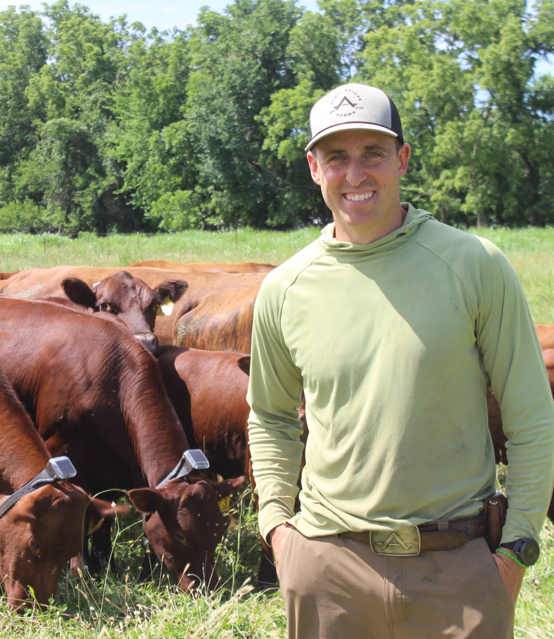 Jon Rowley and his cattle wearing Monil virtual fence collars