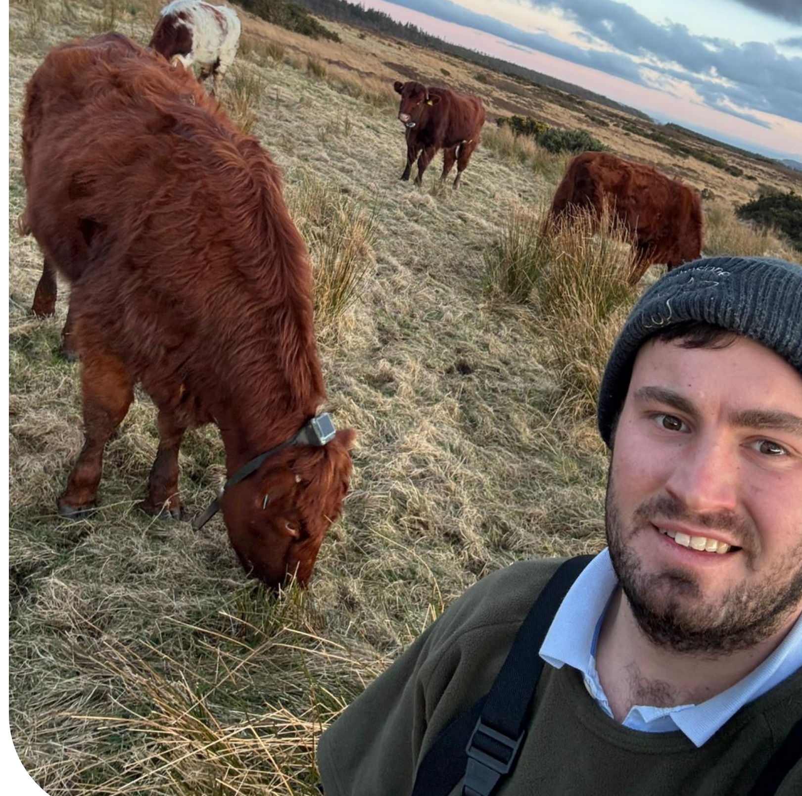 Monil farmer smiling with cows 