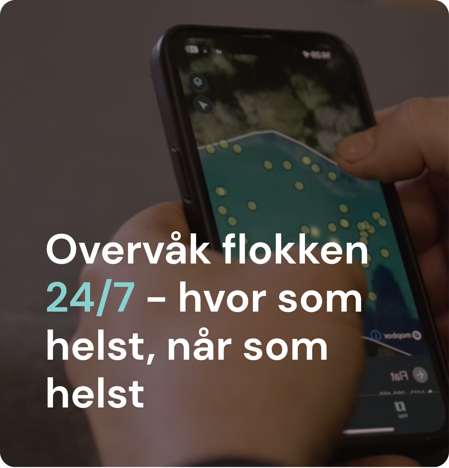Overvåk flokken 24/7 - hvor som helst, når som helst
