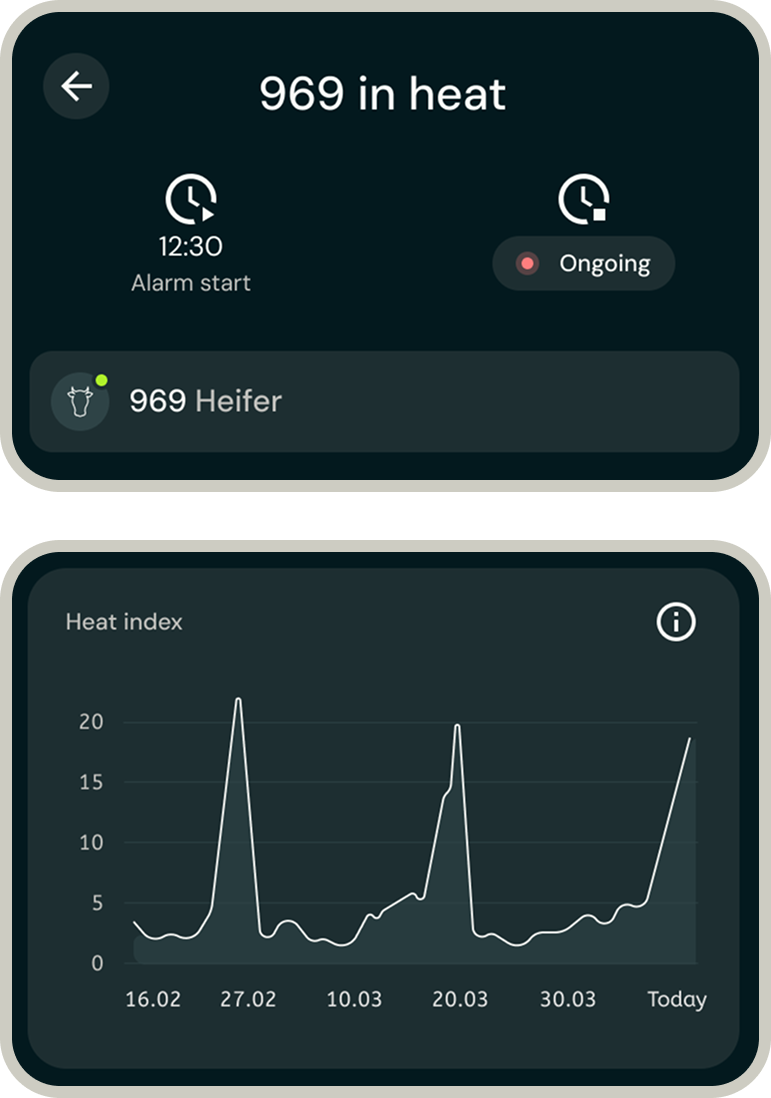 Get alerted based on activity and rumination insight 