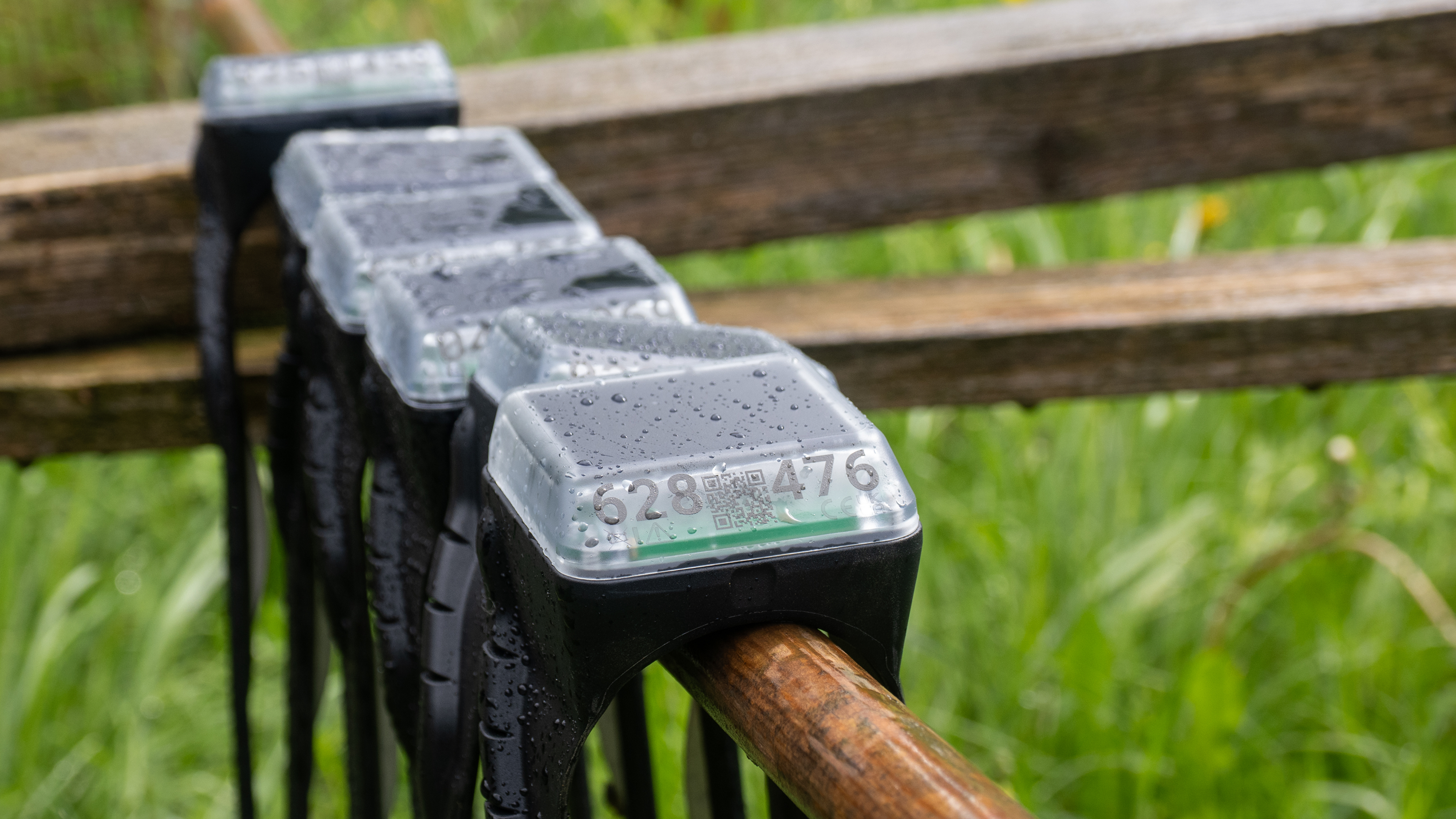 Monil virtual fencing cattle collars getting a solar charge on a fence.