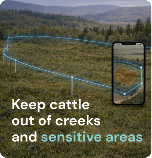 keep cattle out of sensitive areas
