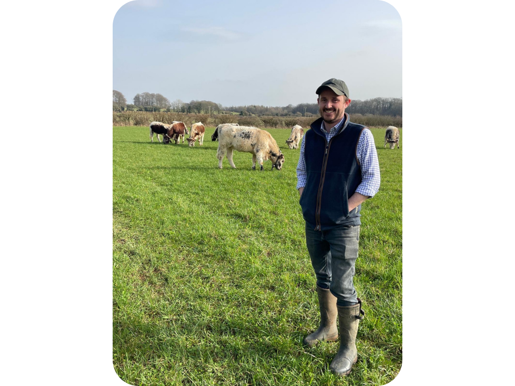 Ed Franklin, UK farmer, standing in a green field with his cows which are wearing Monil Virtual Fencing cattle collars.