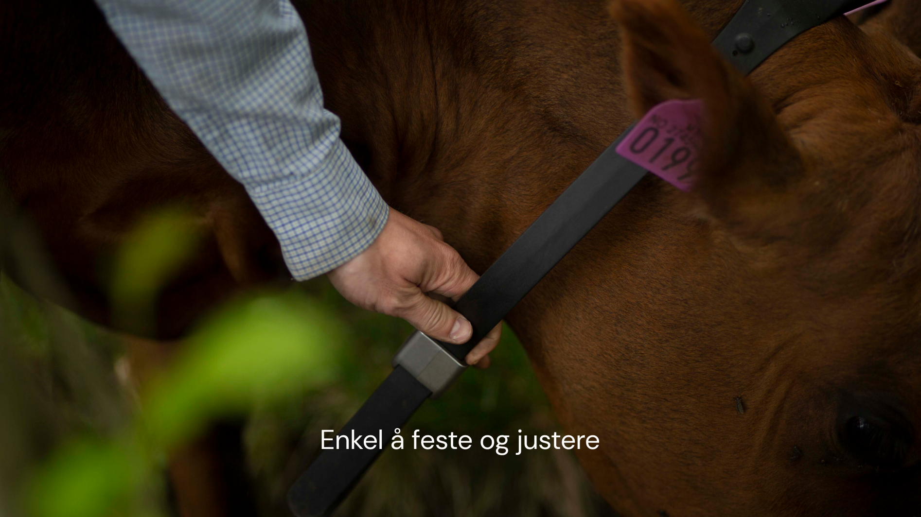 Enkel å feste og justere