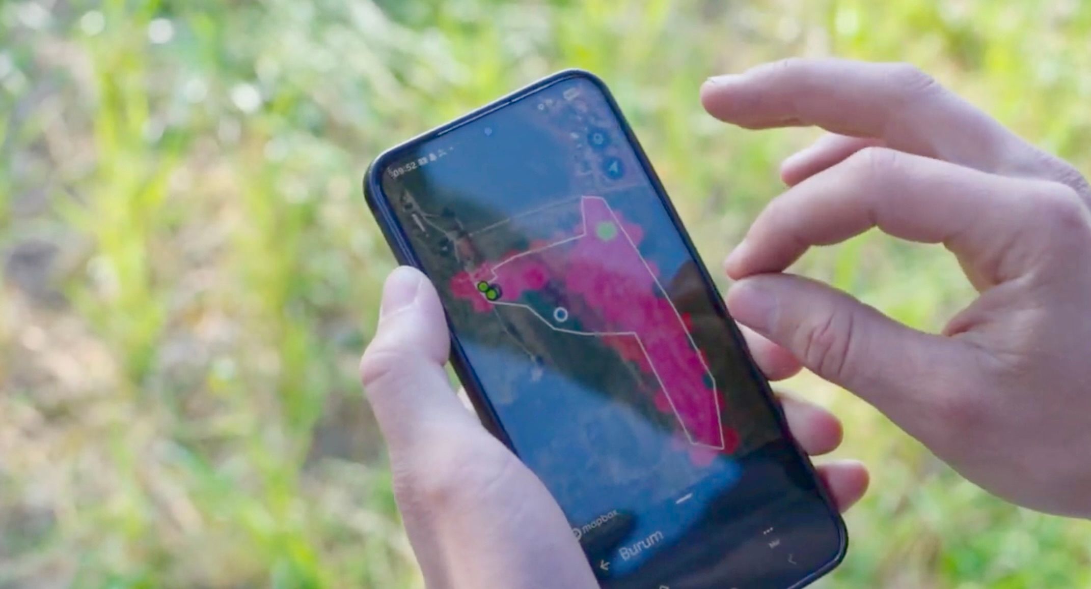 Farmers using Monil for grazing