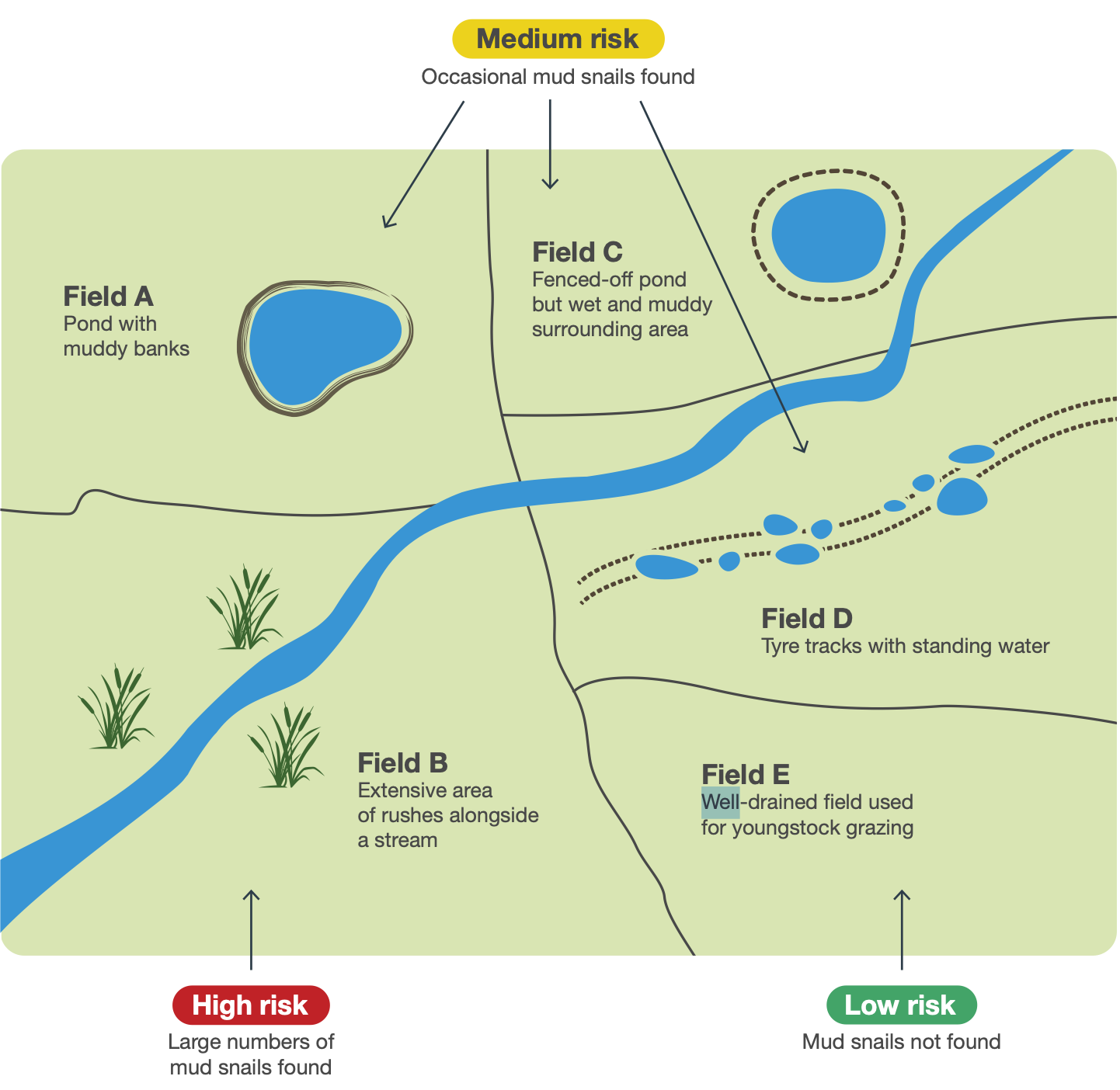 Monil viriual fences protects animals from parasites