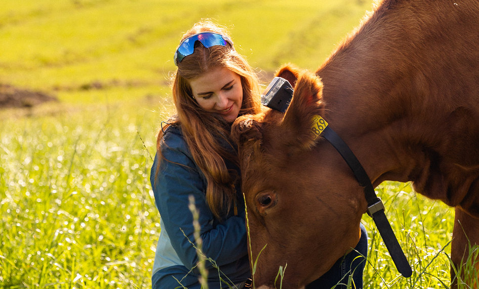 Girl and cow