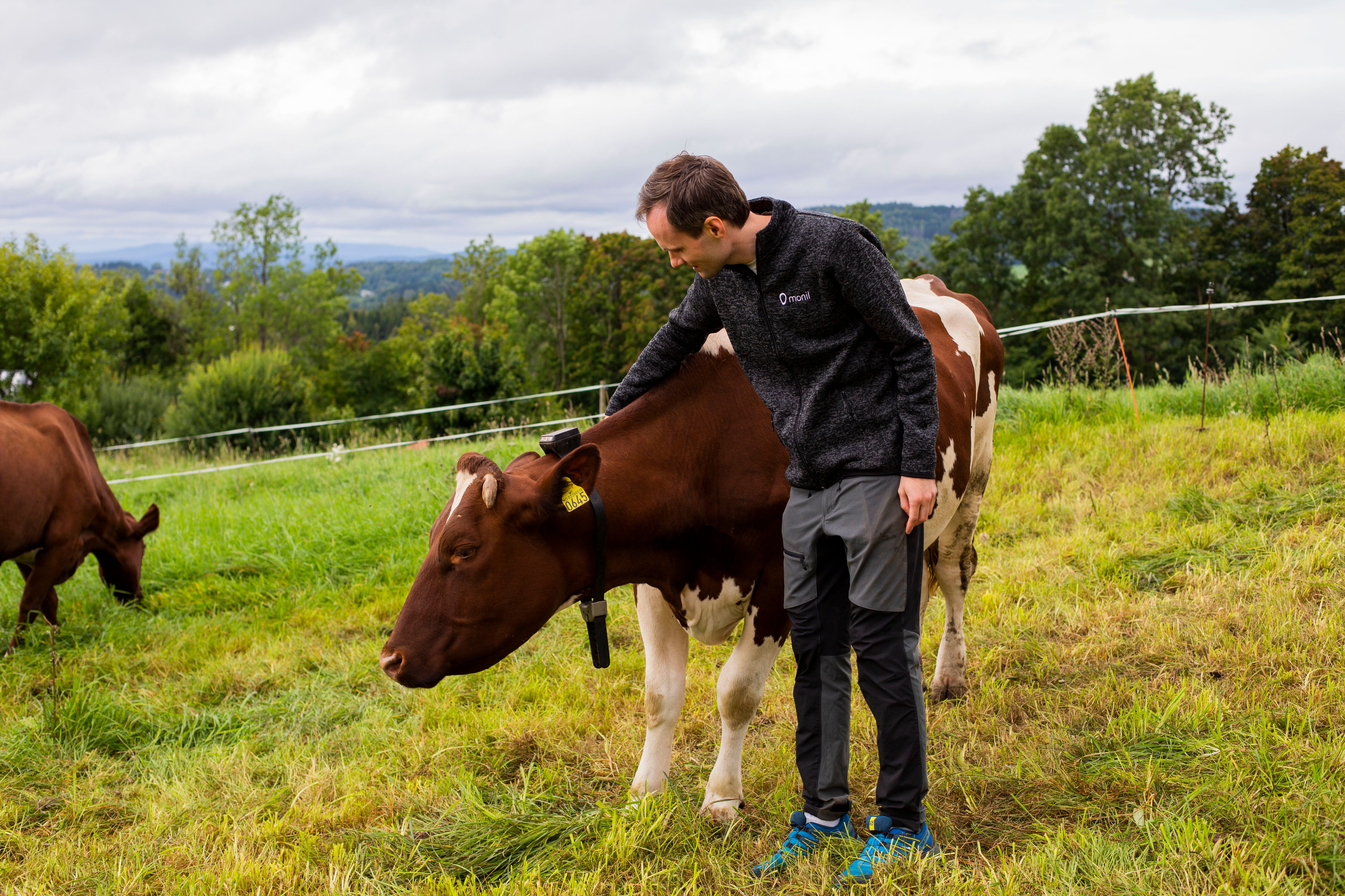 man petting cow