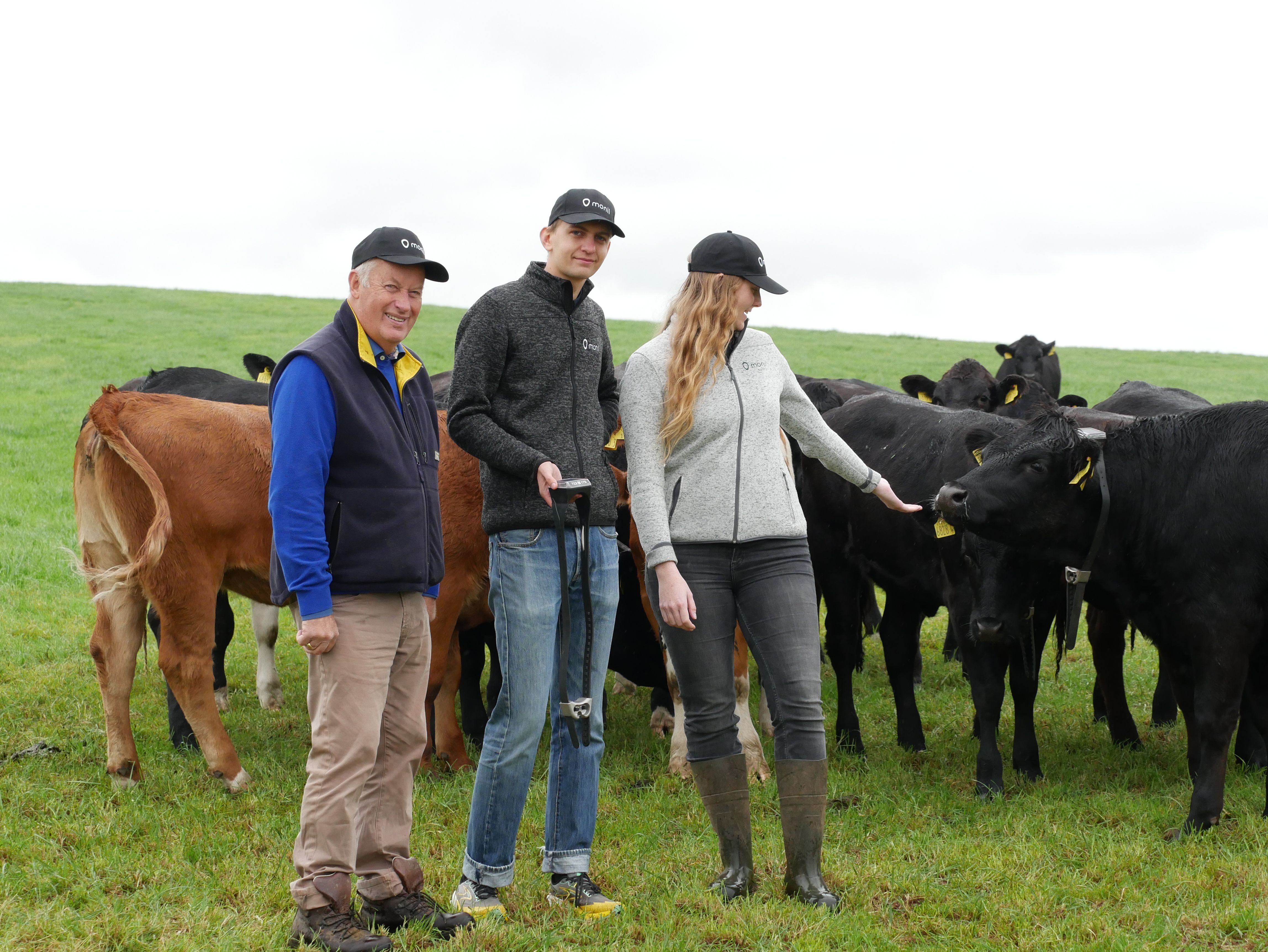 Jack Dobson with a herd of Monil cows grazing