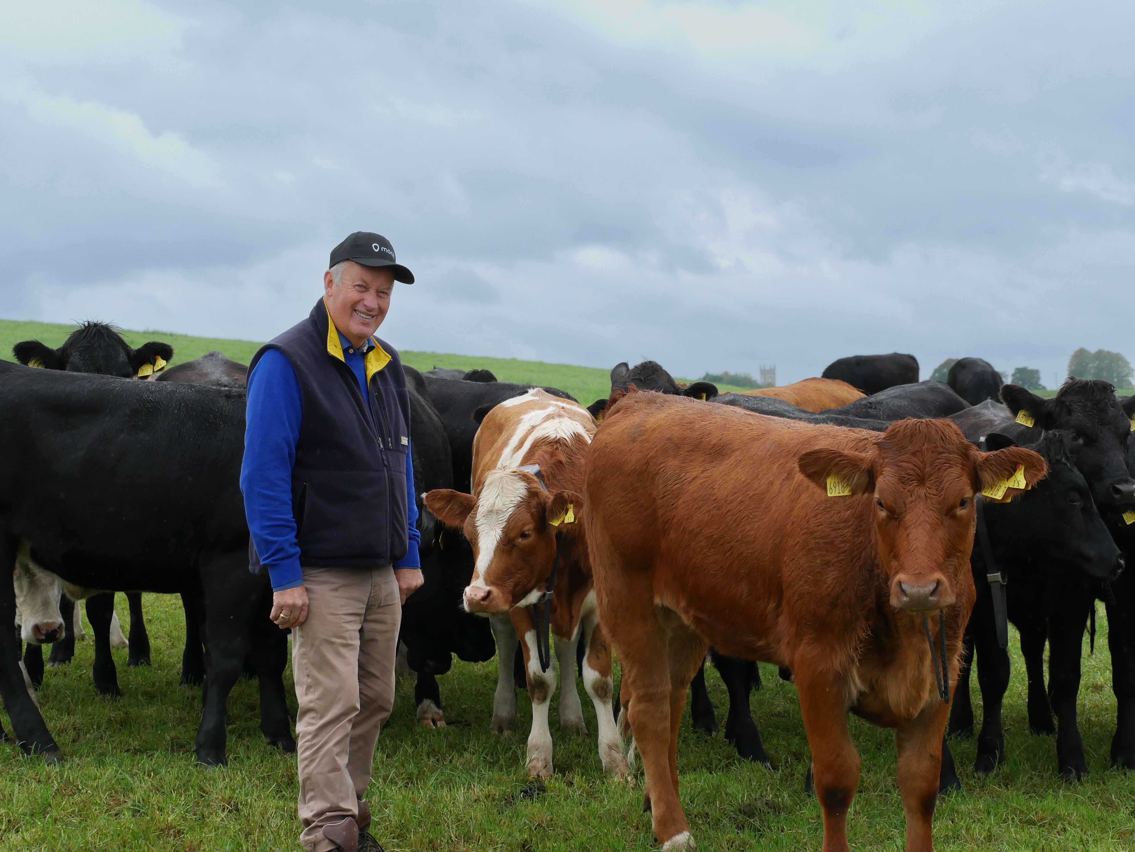 Jack Dobson uses virtual fencing for strip grazing.