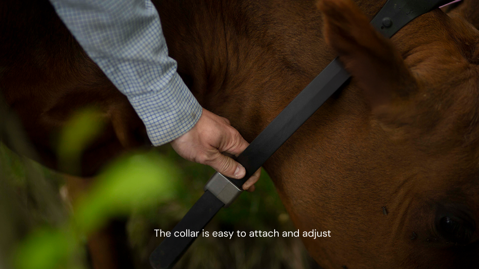 Enkel å feste og justere