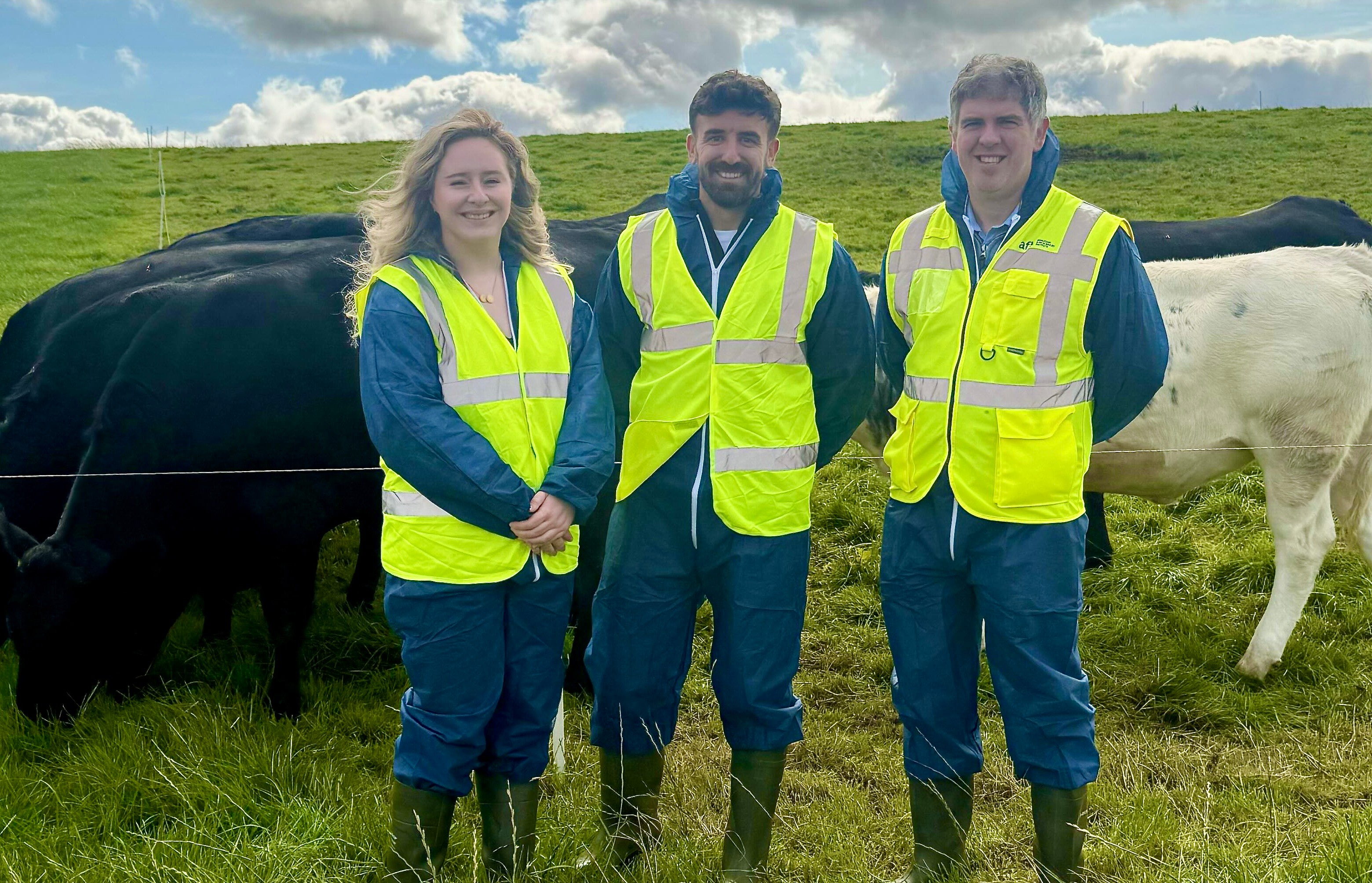 Testing Monil virtual fencing on cattle