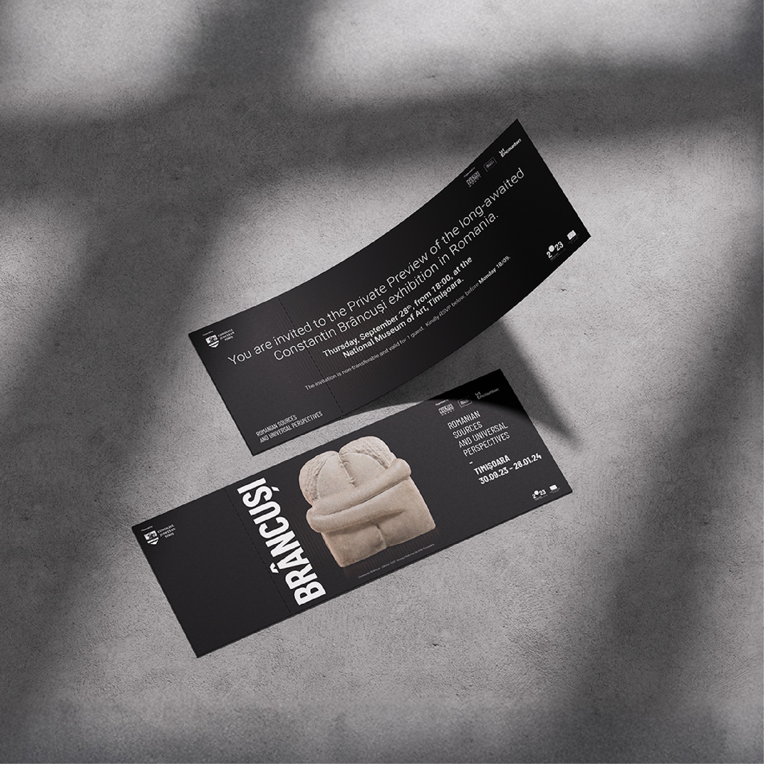 Brancusi expo tickets