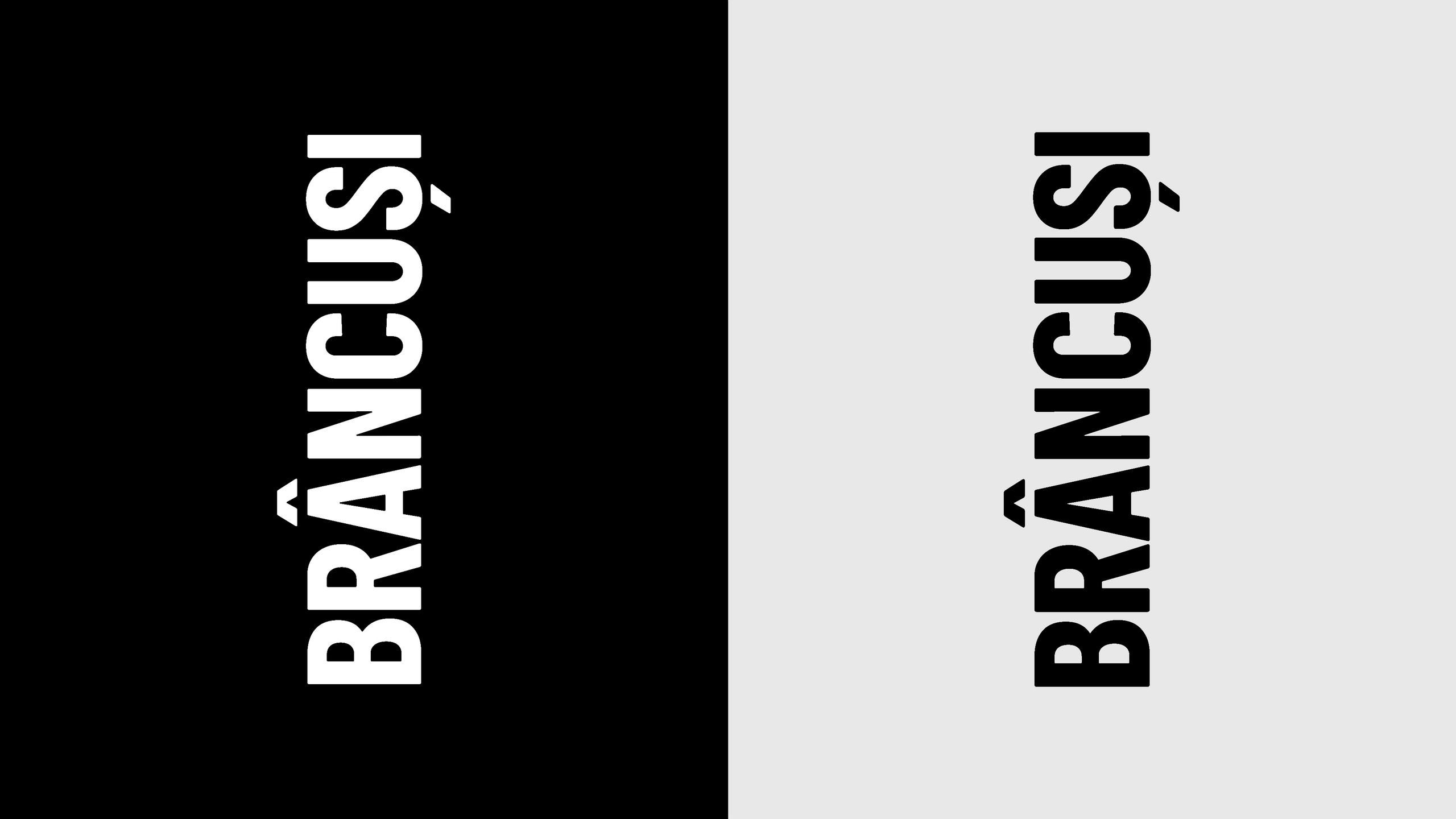 Brancusi Positive and Negative Logo