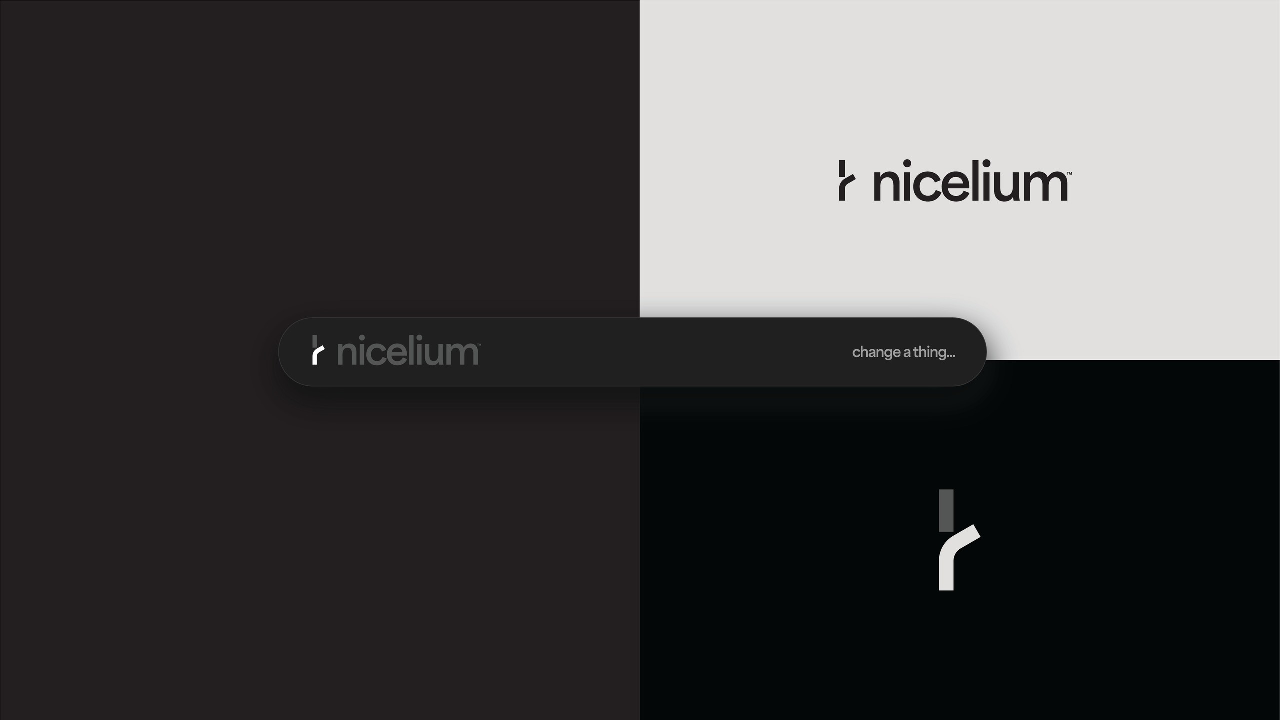 Nicelium logo options