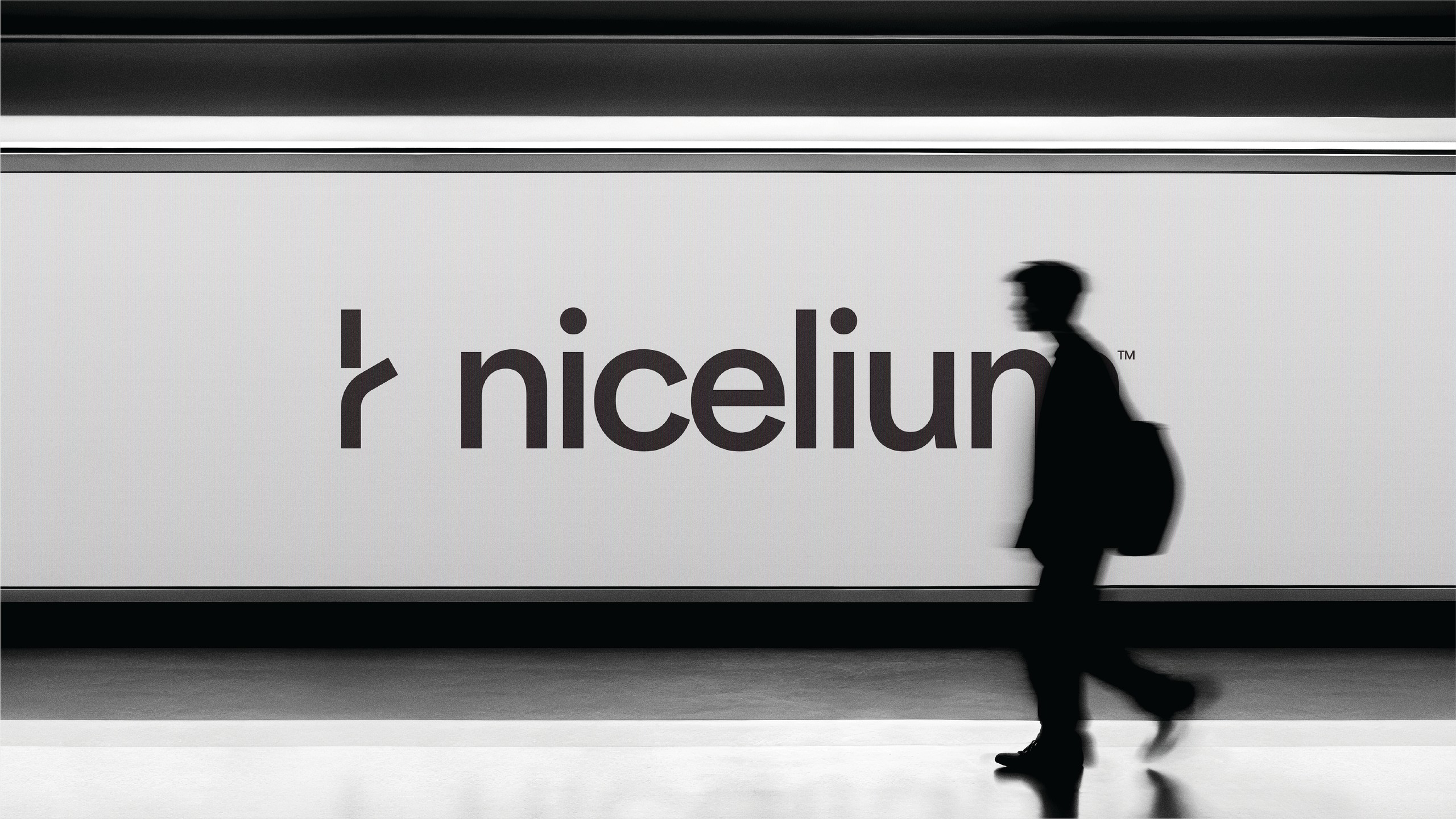 nicelium logo context