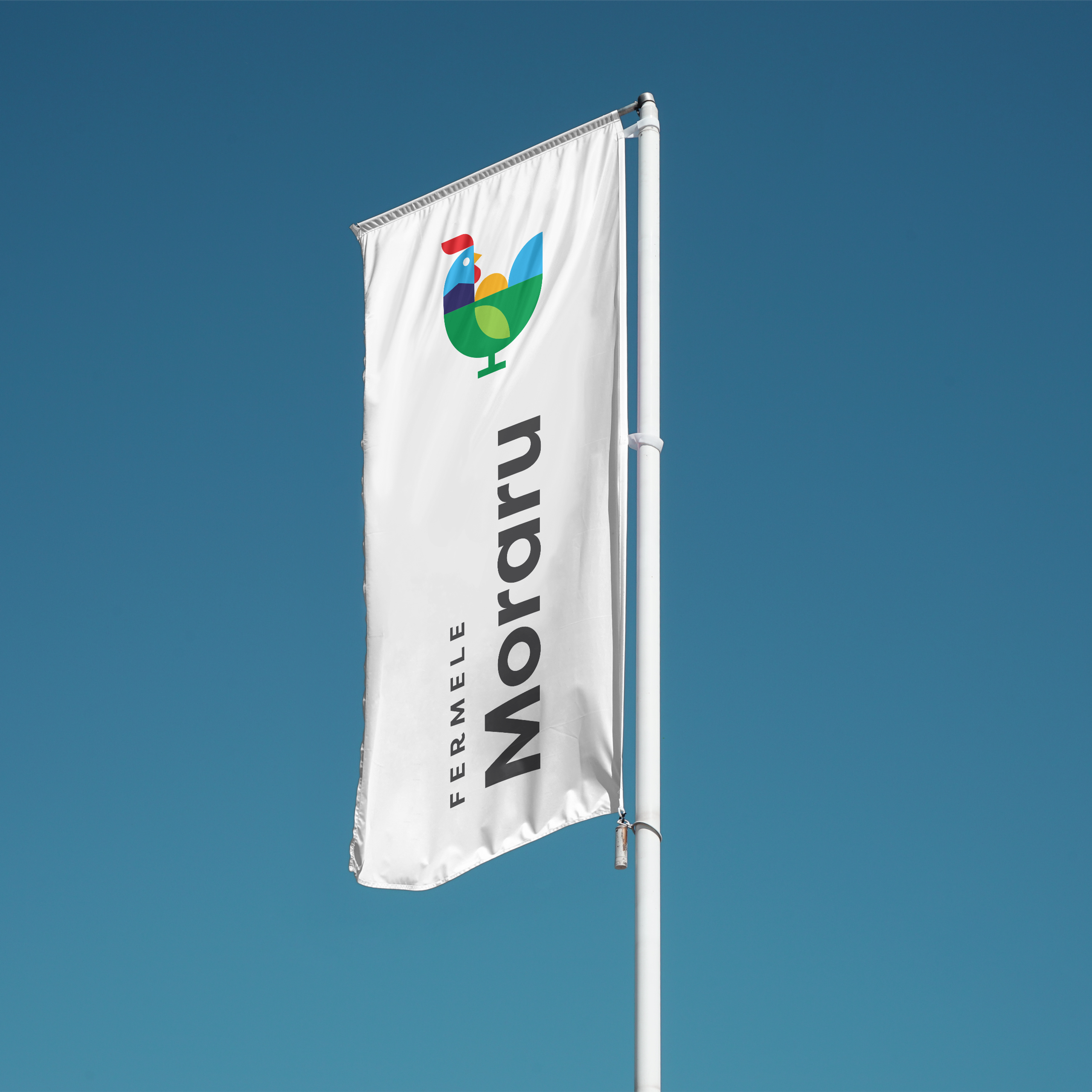 Fermele Moraru Flags