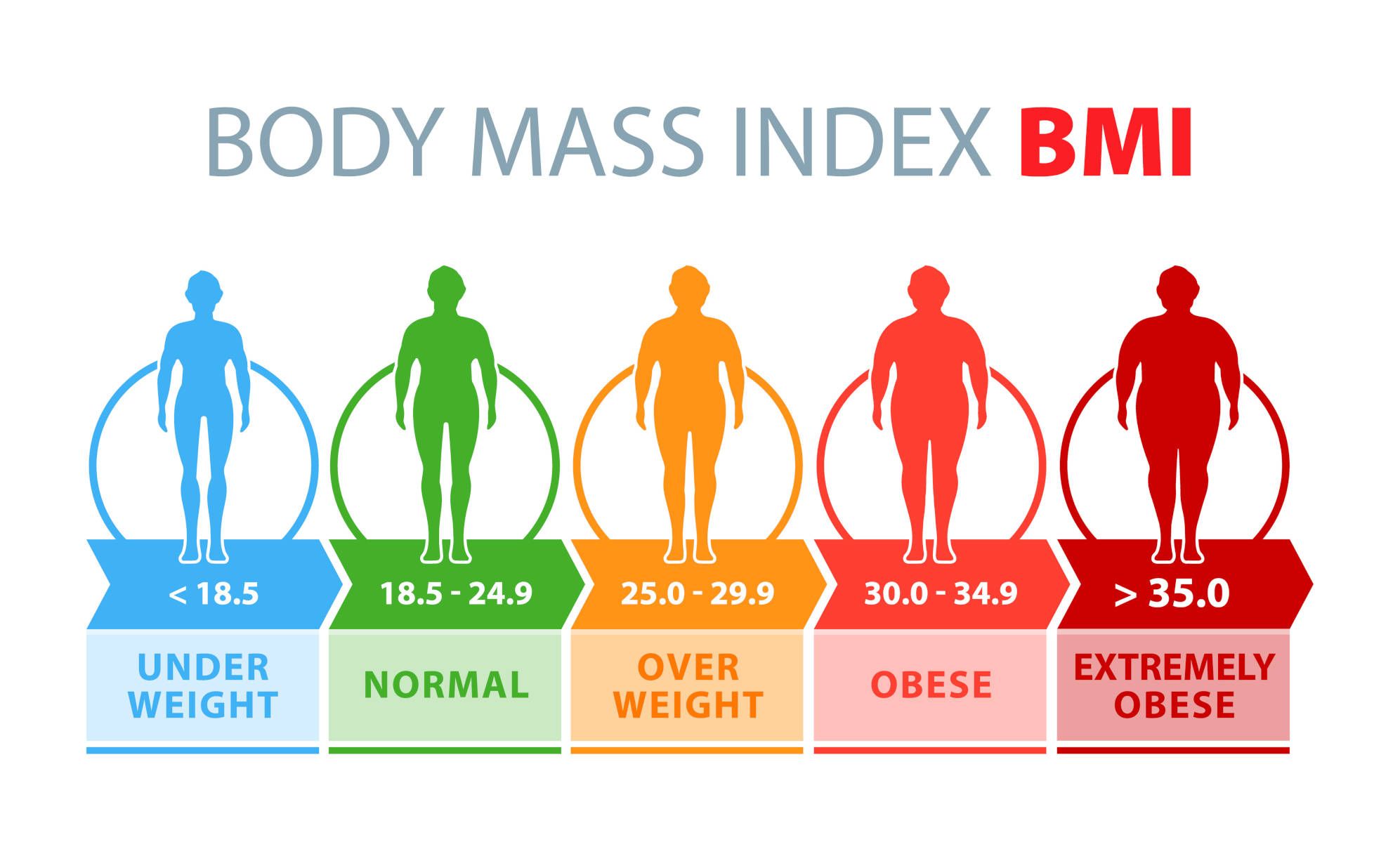 West Medical Visual BMI Chart