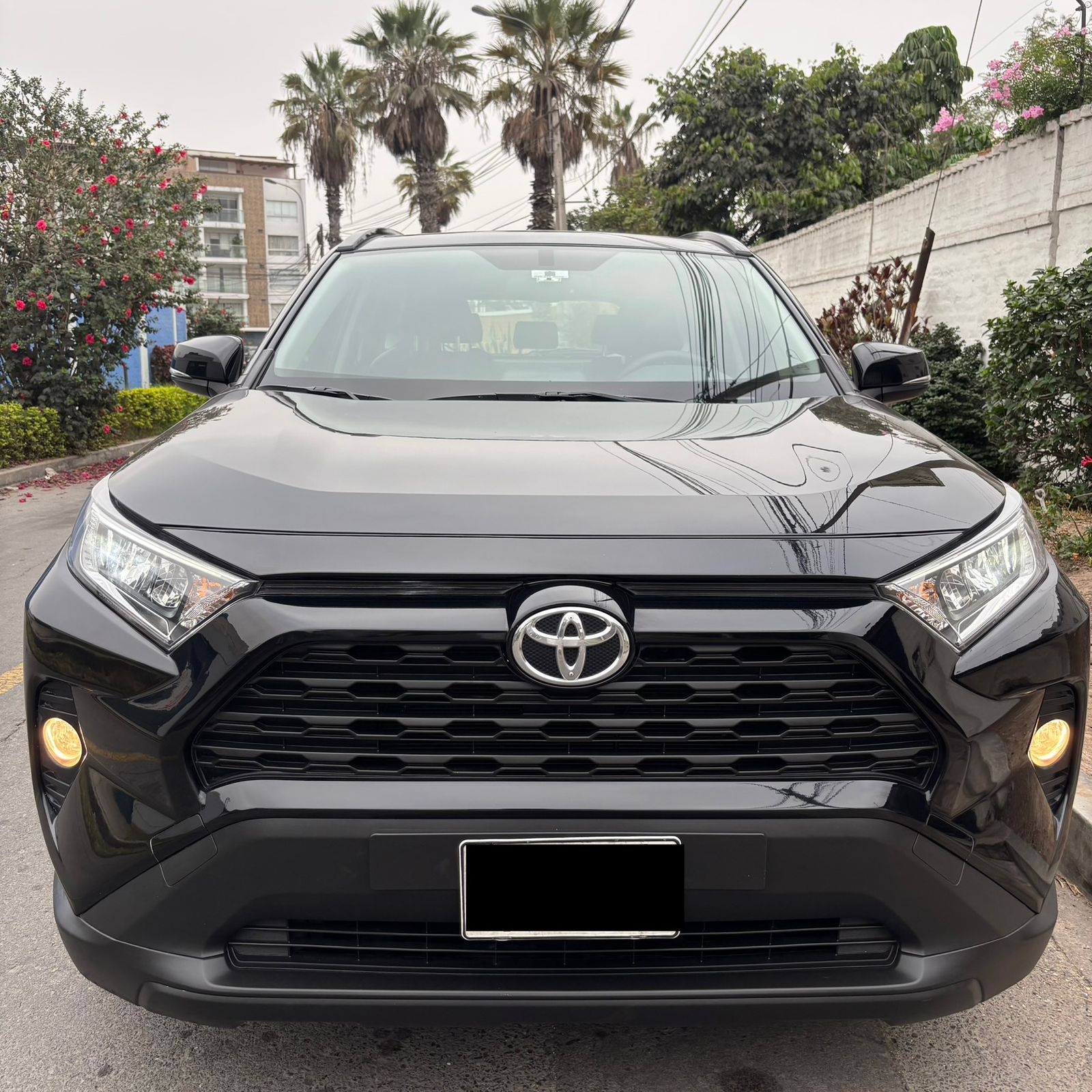 Toyota  RAV4 - Miniatura 3