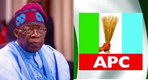 2027: Despite Endorsement Of Tinubu, Presidential Ticket Remains Open — APC