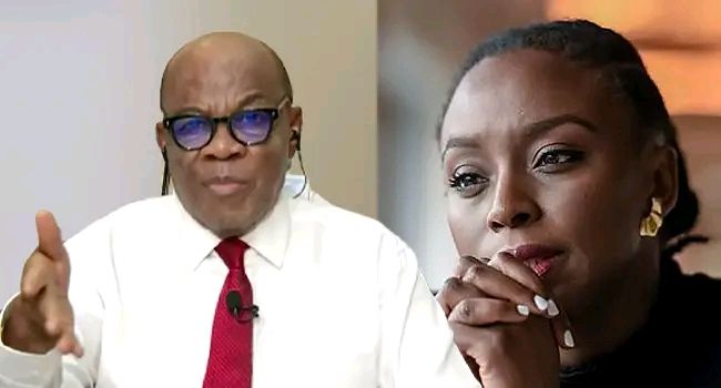 Agbakoba Calls For Probe Of Chimamanda’s Son’s Death, Demands Health Reforms