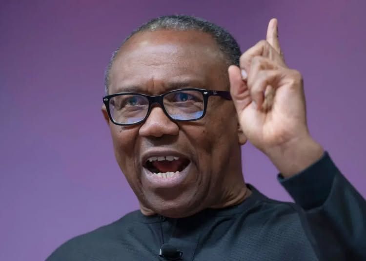 Politics: 2027: I’ll Contest For President – Peter Obi