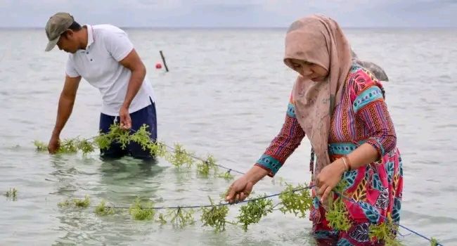 Swiss Court To Hear Landmark Climate Case Against Cement Giant