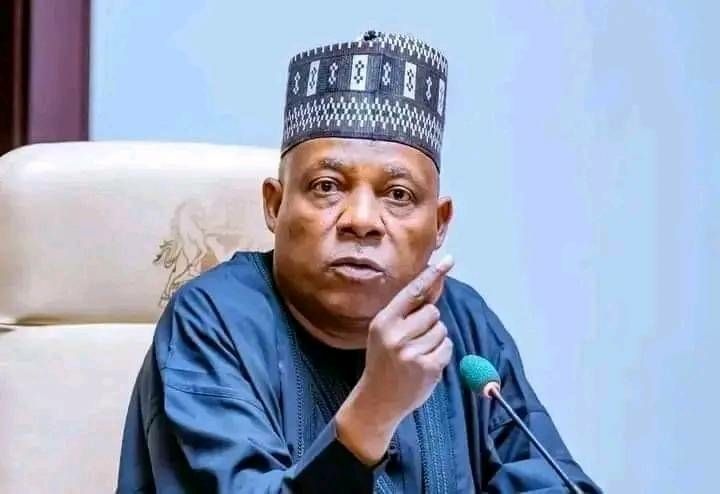 Just In: Insecurity Will Soon Be Contained — Shettima