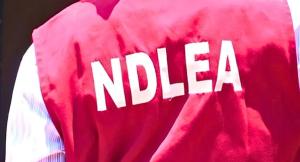 NDLEA Uncovers Secret Colorado Factory In Lagos, Arrests 30-Year-Old Owner