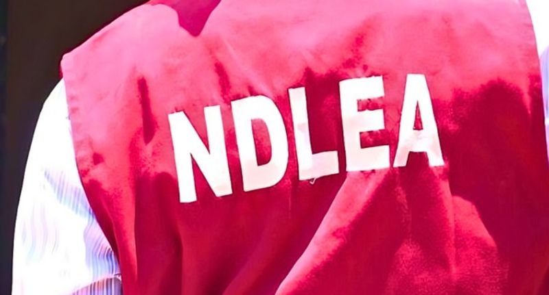 NDLEA Uncovers Secret Colorado Factory In Lagos, Arrests 30-Year-Old Owner