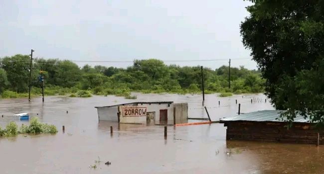 FG Condoles With South Africa, Mozambique, Zimbabwe Over Devastating Floods