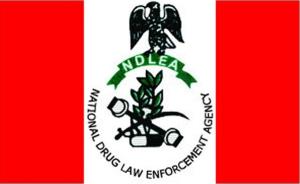 NDLEA smashes N6.4bn drug cartel, arrests kingpins