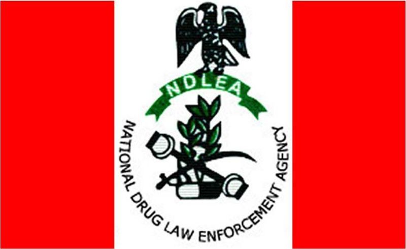 NDLEA smashes N6.4bn drug cartel, arrests kingpins