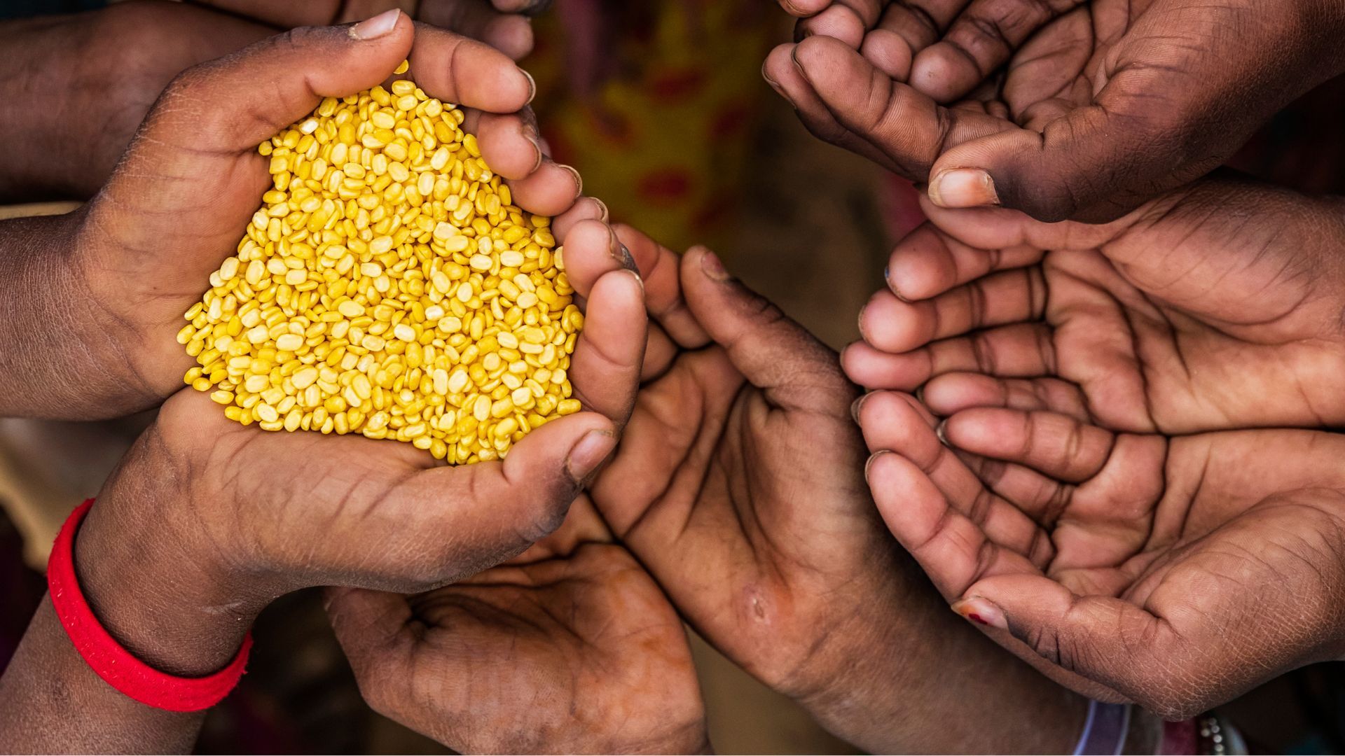 The gaps hunger doesn’t fill