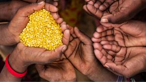 The gaps hunger doesn’t fill