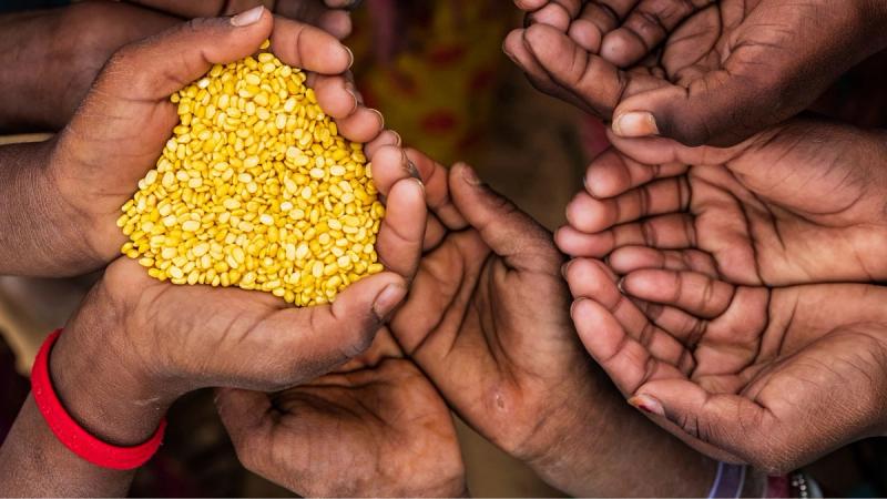 The gaps hunger doesn’t fill