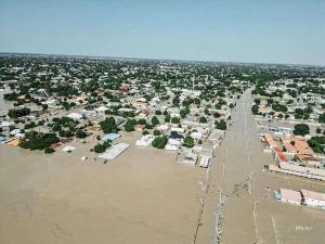 Flood disaster: States intensify action as 232 die, 121,000 displaced