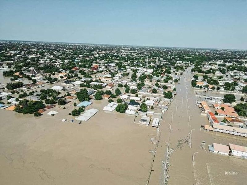 Flood disaster: States intensify action as 232 die, 121,000 displaced