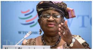 WTO Hikes 2025 Trade Growth Outlook