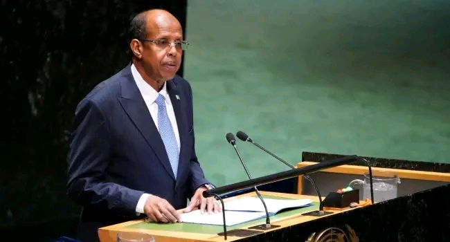 No Genocide In Nigeria — AU Chief