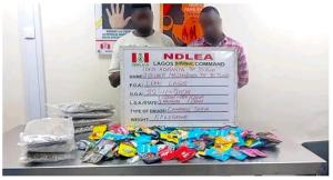 NDLEA Uncovers Drugs Packaged As Christmas Cookies, Arrests Suspects
