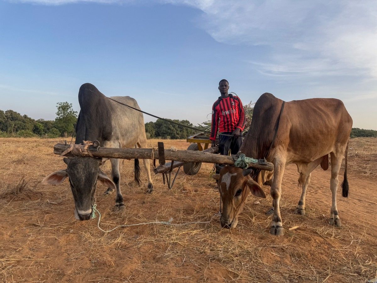 Environment: ‘Significant’ Acceleration Of Global Warming Since 2015
