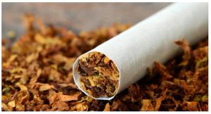 Italy Seizes Over 150 Tonnes Of Counterfeit Cigarettes