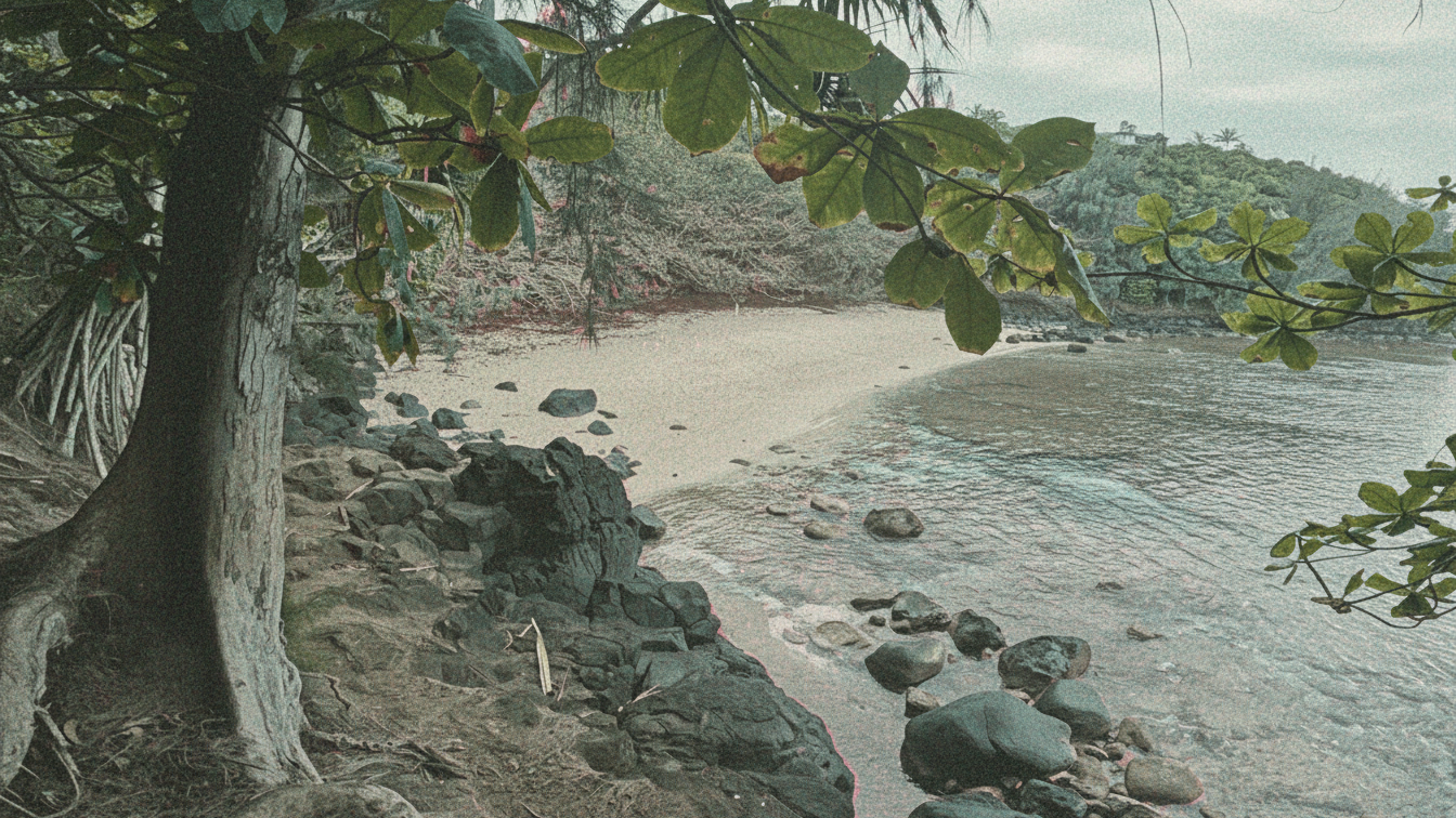 The Hidden Beauty of Sealodge Beach Kauai - A Local's Guide