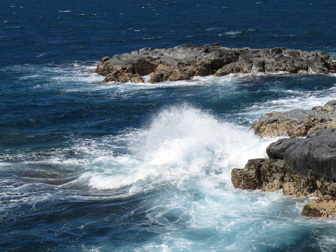 Places You’ll Love in Princeville