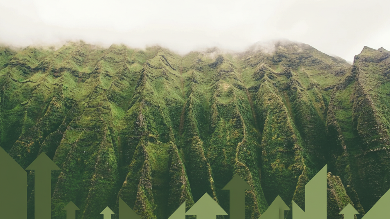 Maximizing Profits with Kauai Vacation Rental Management
