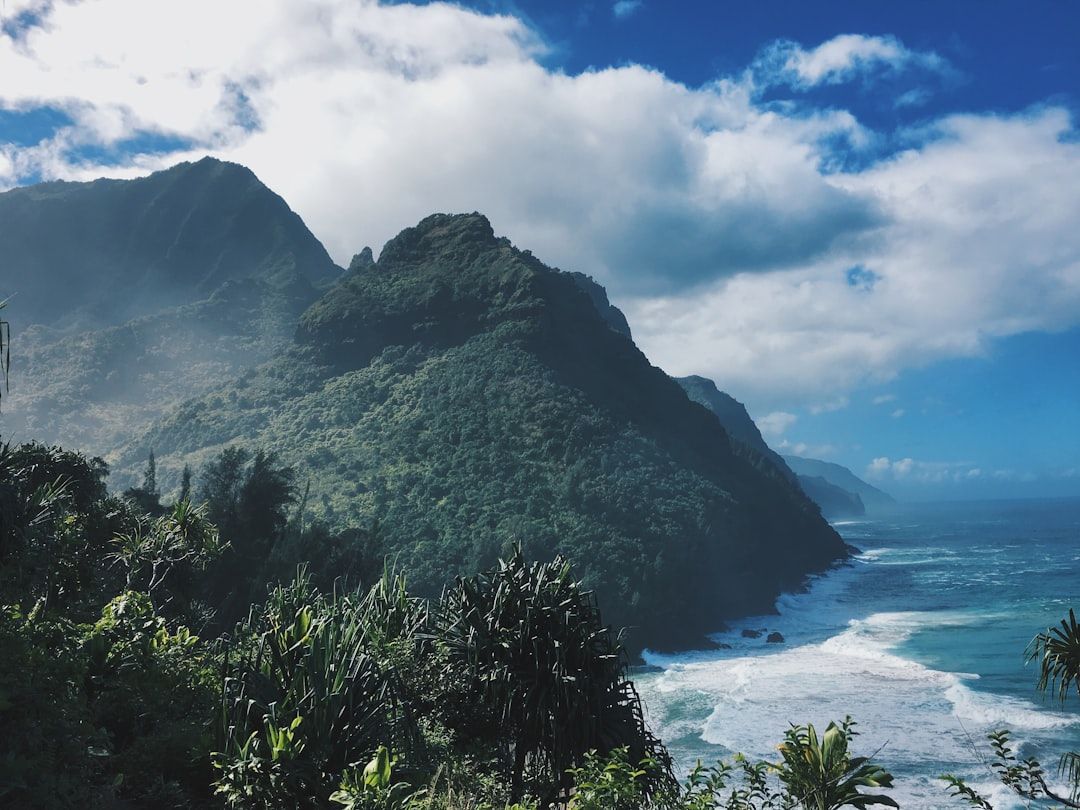 Places You’ll Love in Kapaʻa